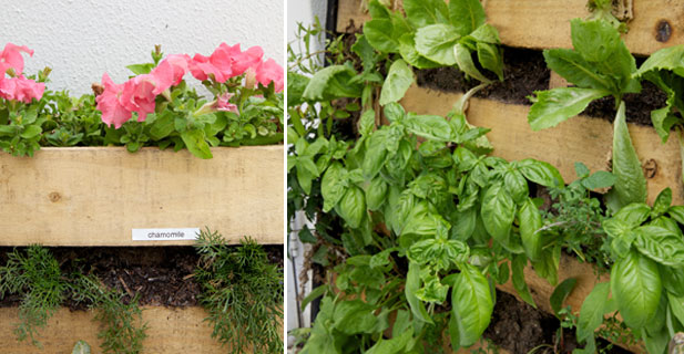 How To Make A Pallet Garden