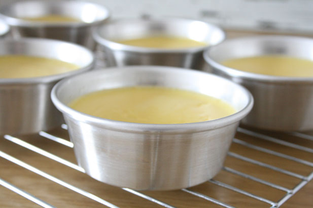 The Science Behind crème caramel or flan