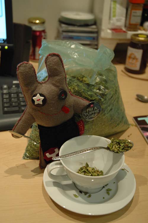 Buchu It S Good For You Yuppiechef Magazine