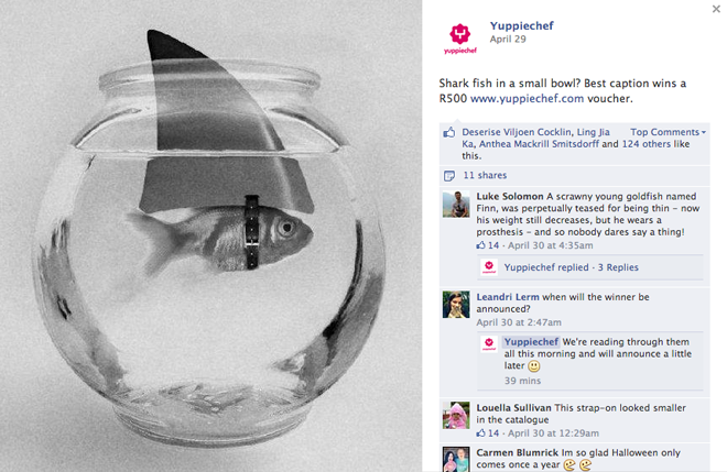 Your Winning Sharkfish Captions Yuppiechef Magazine