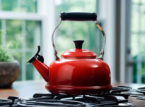 https://res.cloudinary.com/yuppiechef/image/upload/w_490/v1/pagebuilder/647/callout-le-creuset-red-whistling-stovetop-kettle