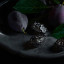 Cecilia's Farm Pitted Prunes, 250g on a plate