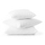 Fine Fibre Scatter Cushion Inner - 50cm x 50cm