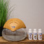 Crystal Aire Standard Air Purifier with Natural Lid on the table with concentrate