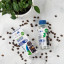 Caffenu Liquid Descaler for Capsule Coffee Machines, 200ml