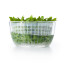 OXO Good Grips Little Salad & Herb Spinner