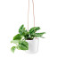 Eva Solo Self-Watering Hanging Pot - Chalk White