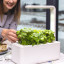 Click & Grow Smart Garden 3 Indoor Gardening Kit picking mint leaves