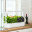 Click & Grow Smart Garden 9 Indoor Gardening Kit on the kitchen counter