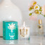 Cape Island Mini Clifton Beach Candle, 100ml