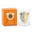 Cape Island Mini Safari Days Candle, 100ml