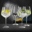 Nachtmann Gin and Tonic Glasses, Set 4, lifestyle