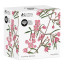 Maxwell & Williams Royal Botanic Garden Mug, 300ml Boronia