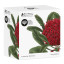 Maxwell & Williams Royal Botanic Garden Mug, 300ml Telopia