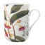 Maxwell & Williams Royal Botanic Garden Mug, 300ml Gum