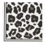 Tavola Leopard Biodegradable Napkins, Pack of 25 - Black