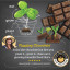 How Sow Delicious Slab of Seeds work