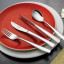 SOLA Lotus 50 Piece Cutlery Set