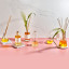Amanda Jayne Orange Blossom Reed Diffuser, 170ml