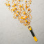 Tovolo Squash Tool