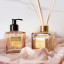 Cape Island Wild Coast Luxury Liquid Soap, Lotion & Diffuser Gift Set