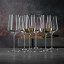 Spiegelau Definition White Wine Glasses, Set of 2 in use