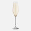 Yuppiechef Classic Champagne Flute