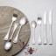 Maxwell & Williams Cosmopolitan 42 Piece Cutlery Set in use