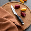 Sagenwolf Performance Paring Knife, 9cm on a wooden board with sliced plums 