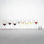 Riedel Veloce Shiraz Glsses, Set of 2 and other glasses