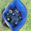Kulgo Adventure Backpack Cooler, 20L with ice and drinks