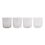 Hertex HAUS Craft Water Glass, Set 4 - Clear
