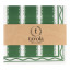 Tavola Stripe Biodegradable Paper Napkins, Pack of 25 - Green