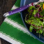 Tavola Stripe Biodegradable Paper Napkins, Pack of 25 dark green under bowl