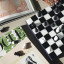 Printworks The Art Of Chess Set on the table