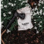 By Benson Deluxe Spray Gun in garden