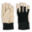 By Benson Deluxe Garden Glove, Set of 2 - Large