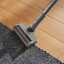 Miele Duoflex HX1 CarCare on a rug
