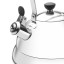 Sagenwolf Stainless Steel Stovetop Kettle, 3L front close up