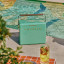 Fieldbar Gin Trunk - Parisian Green next to pool