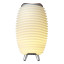 Kooduu Synergy Small Wine Cooler Lamp