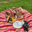 Gift Baskets Fiesta Barrel 5-Person Picnic Basket with food and drinks