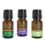 OCO Life Home Essentials 100% Pure Essential Oils, Set of 3
