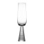 Jenna Clifford Champagne Glasses with Etched Stem, Set of 2