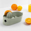 Blim Plus Oblo Juicer - Forest Medium on the table