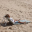 Sunnylife Reclining Beach Chair - The Vacay Olive on beach sand