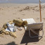 Sunnylife Reclining Beach Chair - Casa Cream at the beach