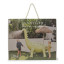 Sunnylife Giant Dinosaur Sprinkler - 2026 version