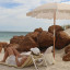 Sunnylife Beach Umbrella - Mango Bay Golden Mustard Stripe at the beach
