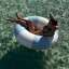 Sunnylife Tube Pool Ring - Lazy Days Duck Egg Blue floating in water